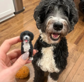 Mini you pet figurine shown with real dog
